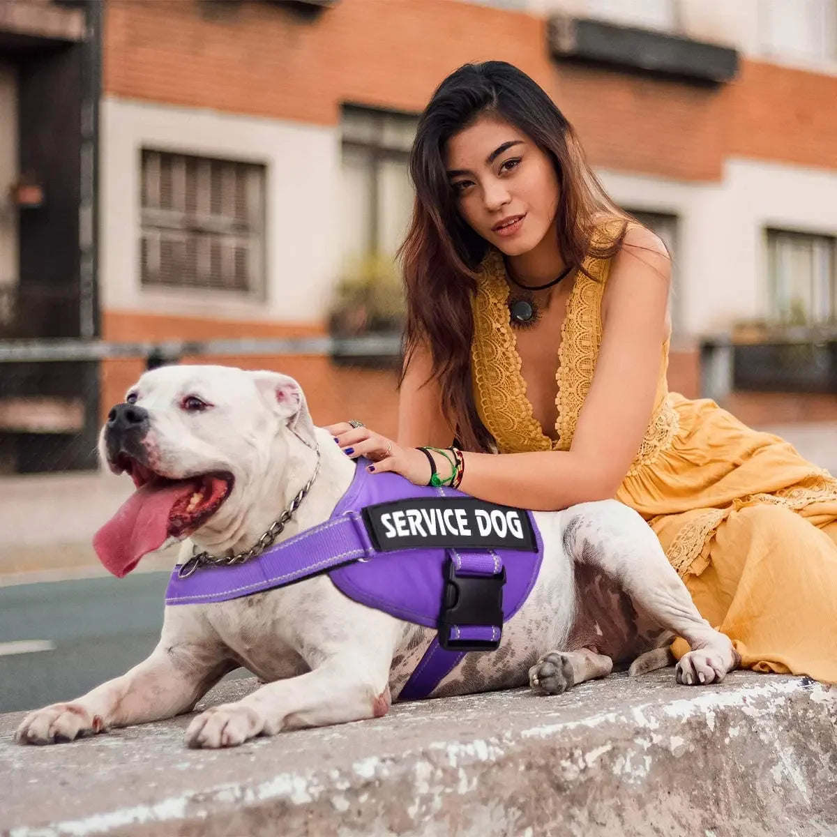 Adjustable Service Dog Harness