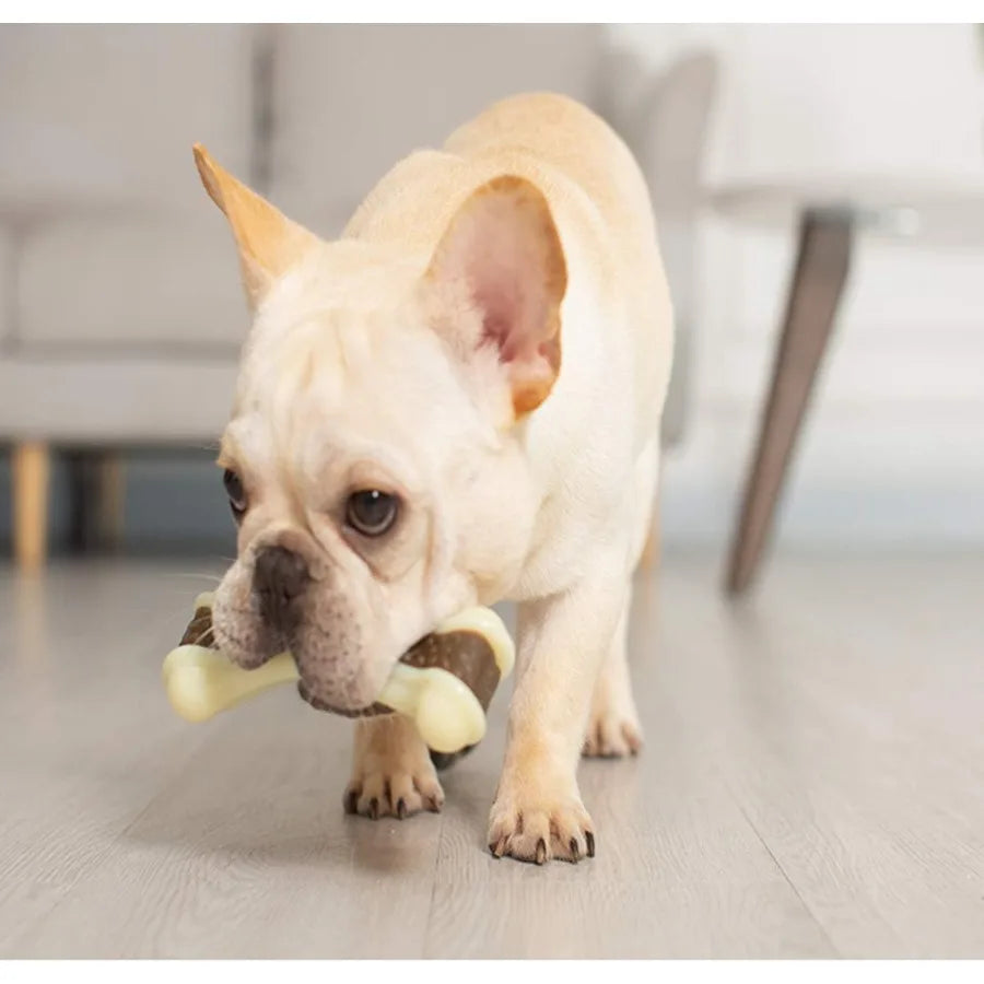 Indestructible Dog Chew Toys for Aggressive Chewers