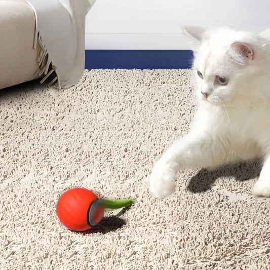 Automatic Moving Cat Toy Ball Smart Toys