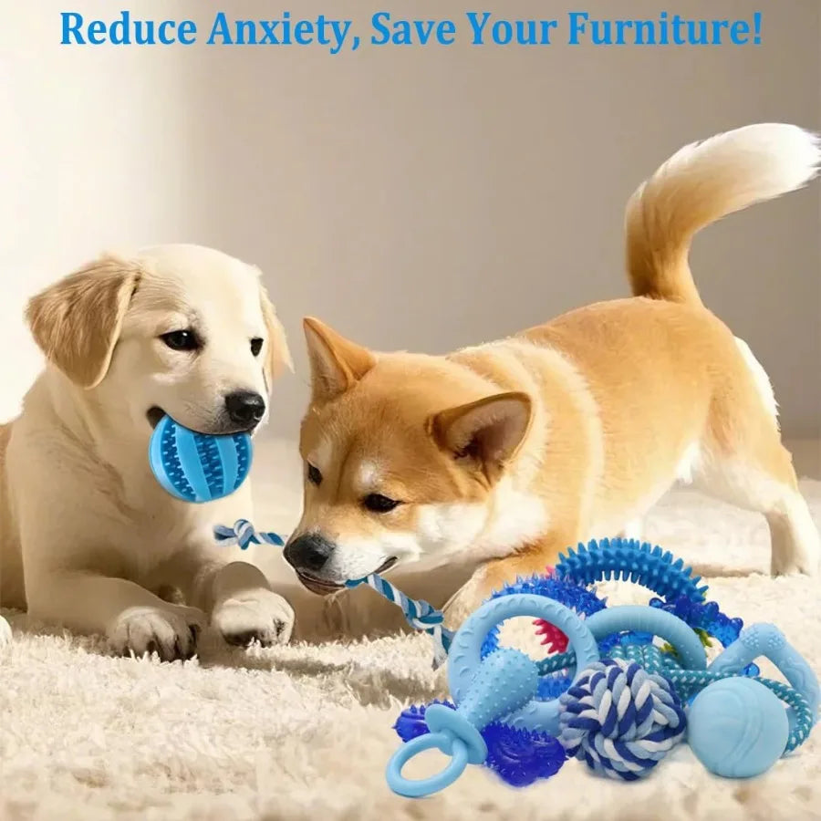 20 Pack Puppy Chew Toys