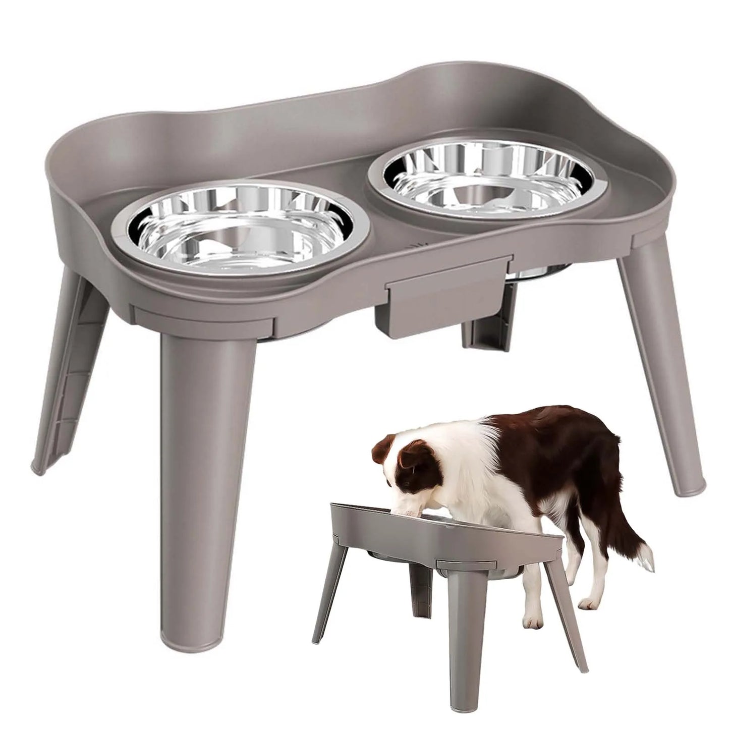 Raised Stand Elevated Dog Feeder